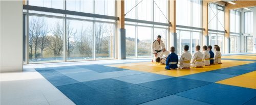 Dojos Safety & Training Featured Image