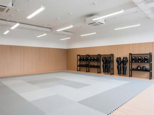 Karate Mats Cost: Prices & What Affects Them Featured Image