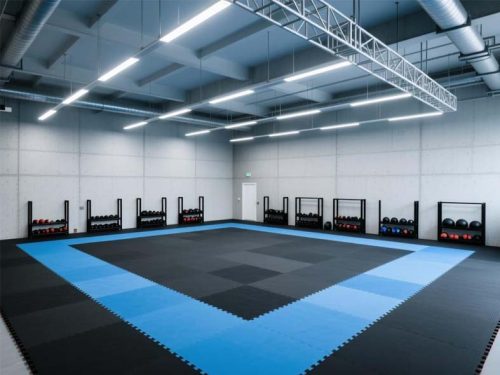 Karate Mats Guide: Types, Thickness & Tatami Explained Featured Image