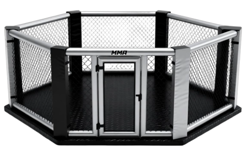 Custom MMA Cage Feature Image