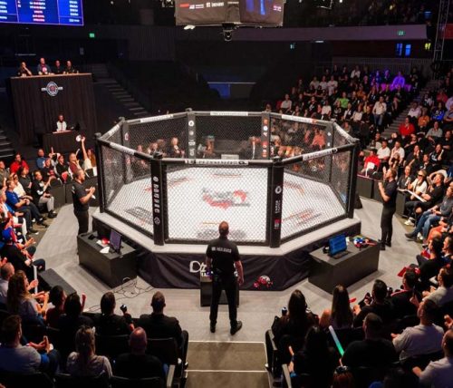 Octagon Cage Guide: Size, Floor and Why Eight Sides Featured Image